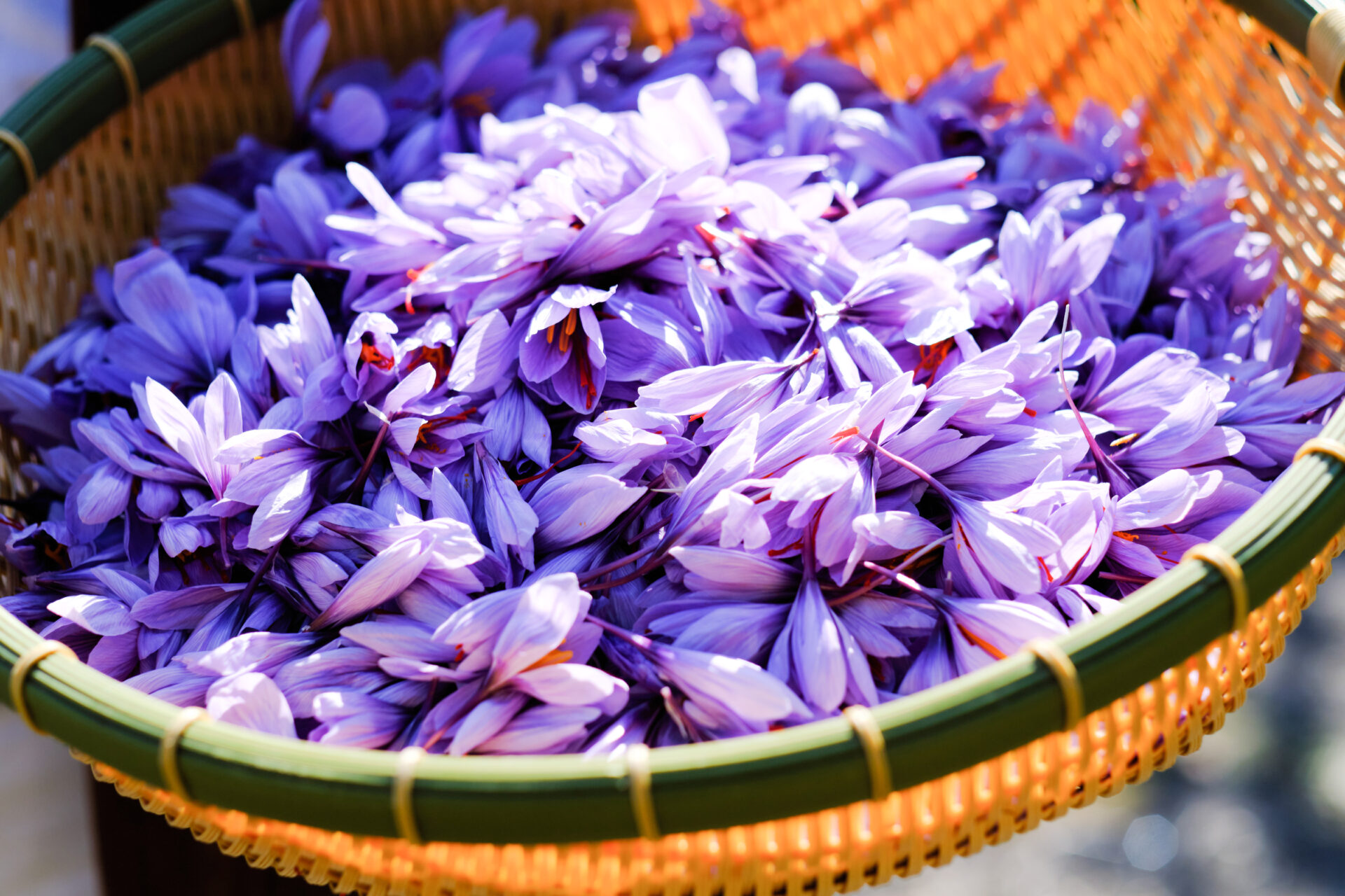 AKAITOサフラン®Ex 希少な天然香料 - parfum-satori.com