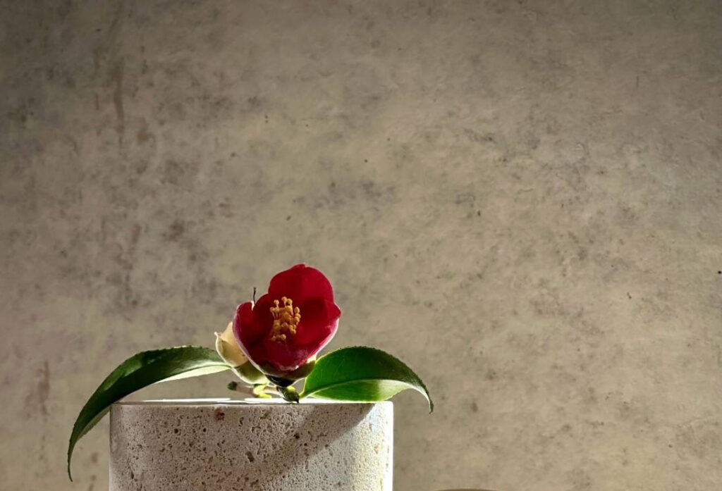 宮本武蔵「枯木鳴鵙図」と侘助椿をモチーフにした香水「侘助-WABISUKE-」のイメージ写真