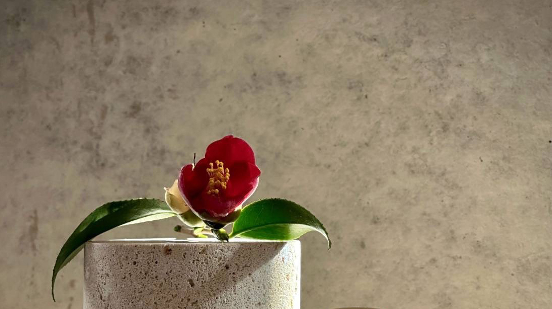 侘助－WABISUKE－｜暁の茶事に咲く、 侘び寂び の香り