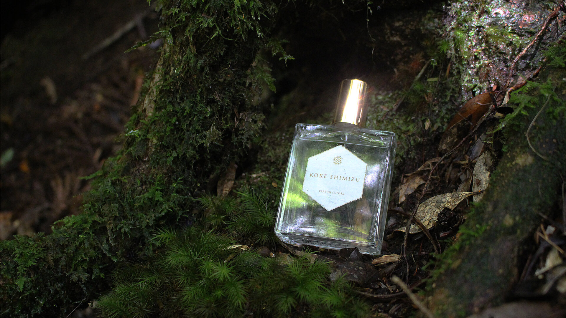 さとり コケシミズ 苔清水 オードパルファン 香水 苔清水 - パルファンサトリ (PARFUM SATORI) | カラリア