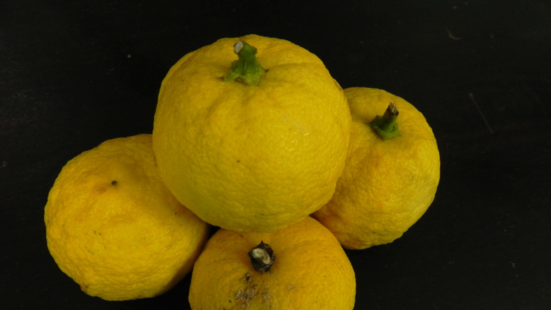 黒い背景に、黄色い姫柚子の実が4つ並ぶ写真( 柚子の香り )