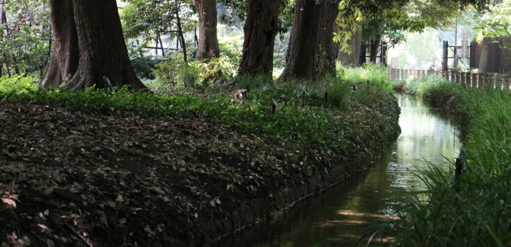 新宿御苑の疏水沿いに続く静かな小径