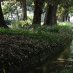 新宿御苑の疏水沿いに続く静かな小径