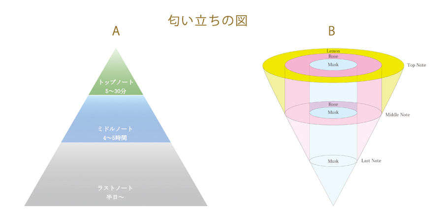 左に トップ・ミドル・ラストノート のピラミッド図、右にレモン・ローズ・ムスクが重なりながら香り変化する模式図