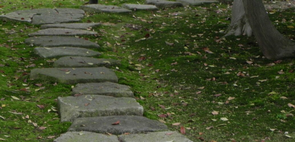 茶室 へと続く露地の飛び石と静かな庭の空間