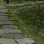 茶室 へと続く露地の飛び石と静かな庭の空間